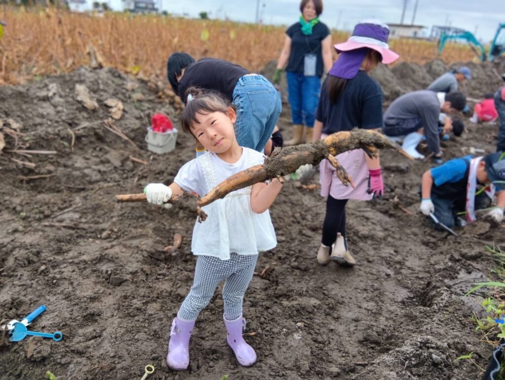 2025年10月12日　れんこん掘り体験