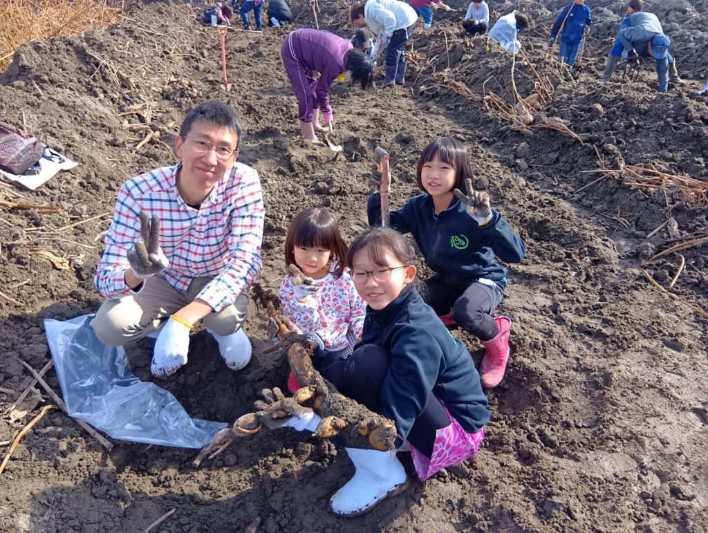 2025年11月23日　れんこん掘り体験