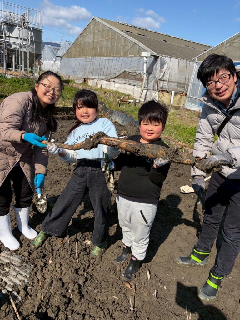 2026年3月8日　れんこん掘り体験
