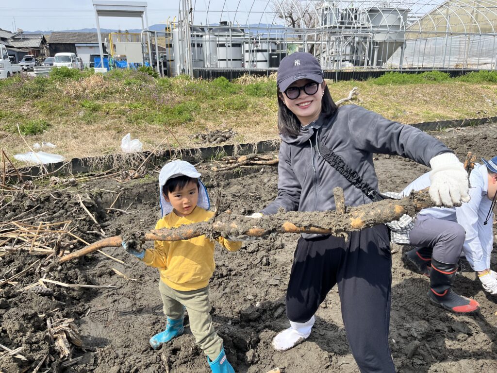 2026年3月22日　れんこん掘り体験