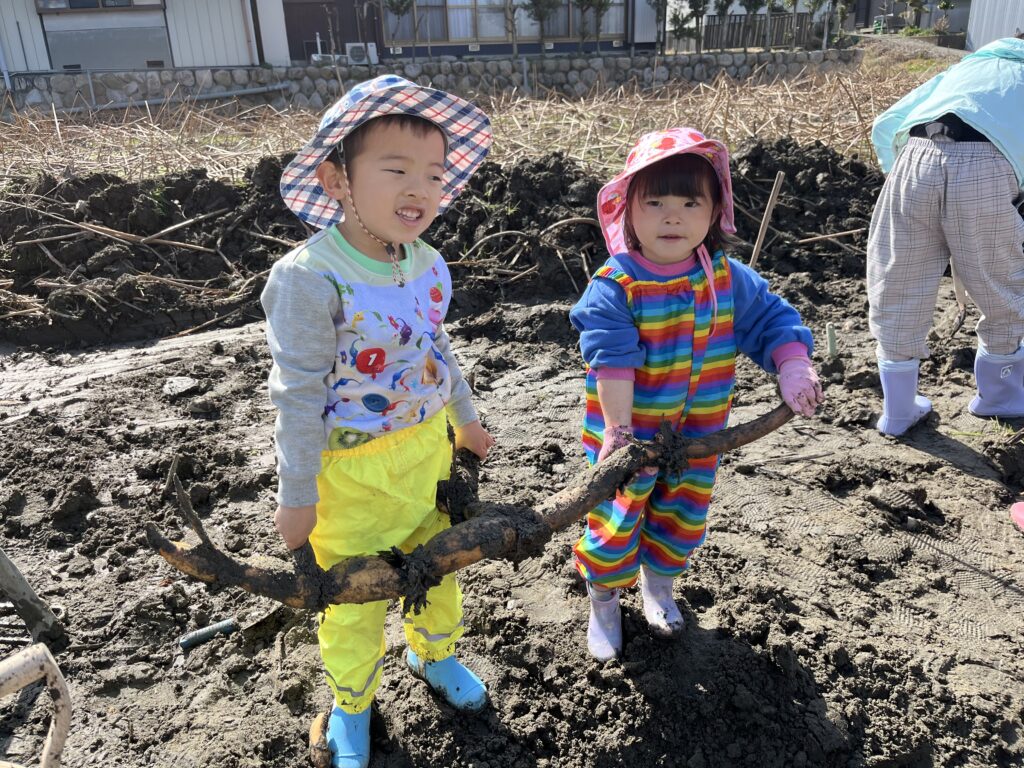 2026年3月1日　れんこん掘り体験