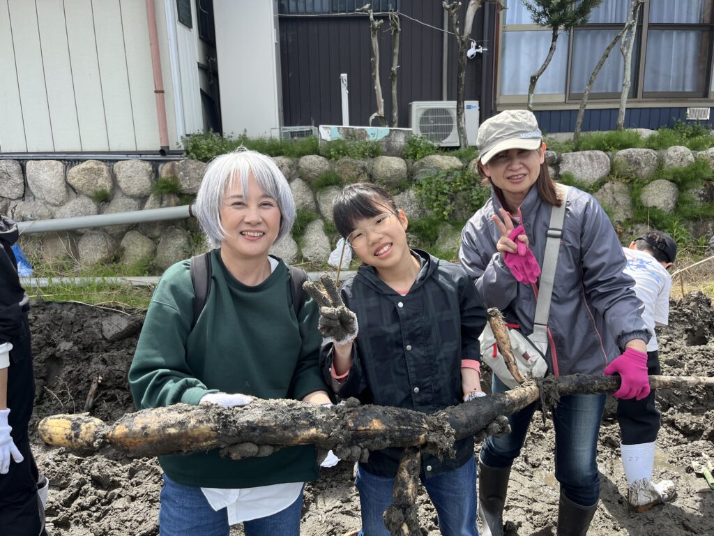 2026年4月12日　れんこん掘り体験