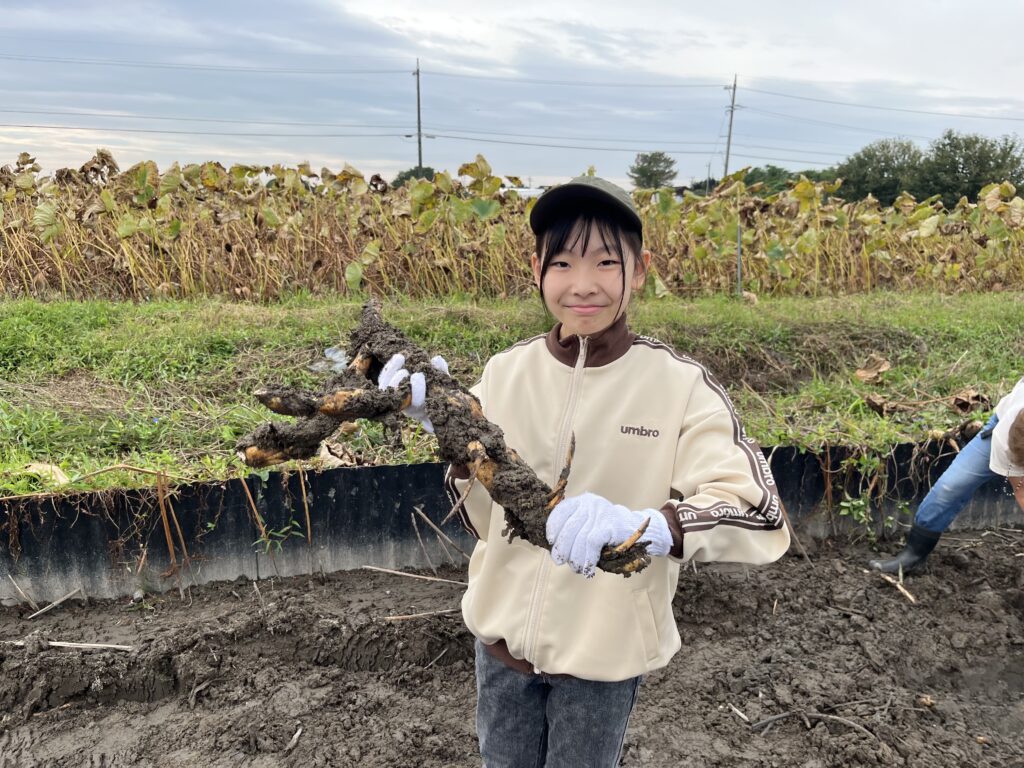 2026年10月4日　れんこん掘り体験